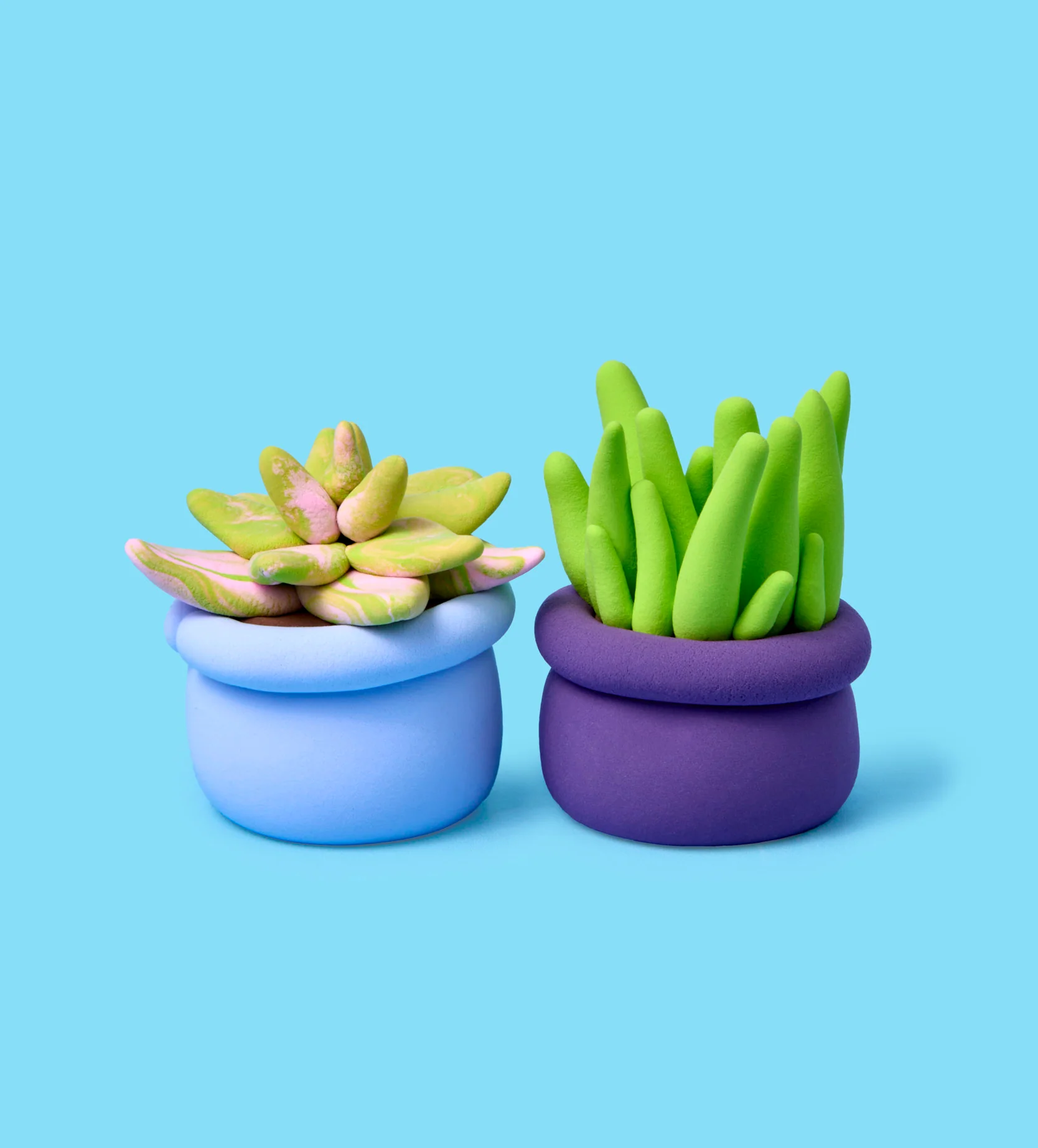 House Plant Bundle - Image 10