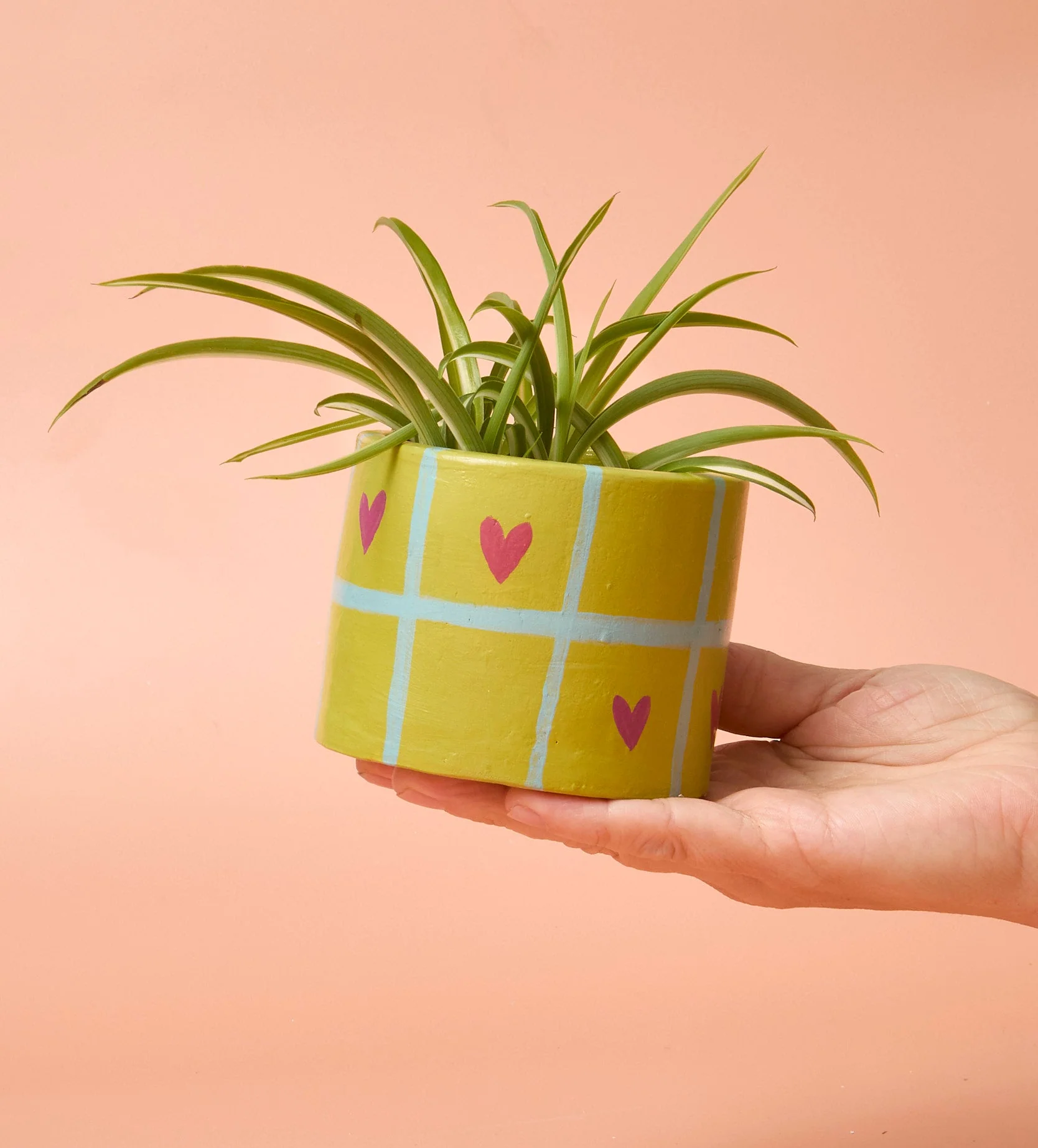 Home Pottery Kit - Image 106